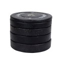 HTBR10 GREEN TALERZ OLIMPIJSKI BUMPER 10 KG HMS HTBR10 GREEN TALERZ OLIMPIJSKI BUMPER 10 KG HMS
