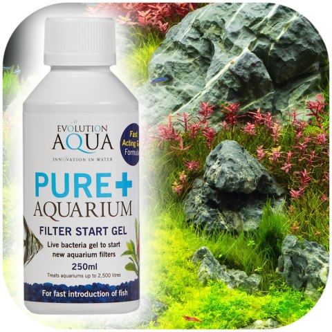 Evolution Aqua Pure+ Aquarium - bakterie w żelu Evolution Aqua Pure+ Aquarium - bakterie w żelu