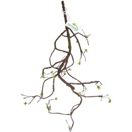 Terrario - Sztuczna Gałąź Dekoracyjna z Pędami do Terrarium - 100 cm