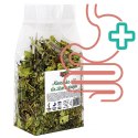 Alegia - codzienne zioła dla Żółwi 80g Alegia - codzienne zioła dla Żółwi 80g