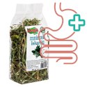 Alegia - mniszek lekarski 90g Alegia - mniszek lekarski 90g