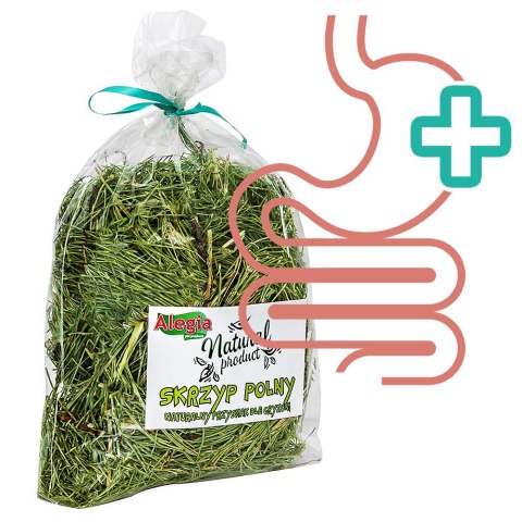 Alegia - skrzyp polny 70g Alegia - skrzyp polny 70g