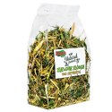 Alegia - zielone ziółka dla szynszyli 120g Alegia - zielone ziółka dla szynszyli 120g