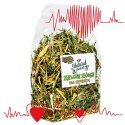 Alegia - zielone ziółka dla szynszyli 120g Alegia - zielone ziółka dla szynszyli 120g