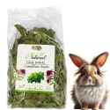 Alegia Natural Liście Jeżówki 75g Alegia Natural Liście Jeżówki 75g