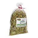 Alegia - koniczyna suszona 100g Alegia - koniczyna suszona 100g