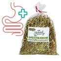 Alegia - koniczyna suszona 100g Alegia - koniczyna suszona 100g