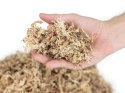 Mech torfowiec Sphagnum moss 25g Mech torfowiec Sphagnum moss 25g